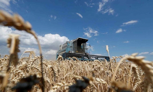 Các doanh nghiệp tại Đông Nam Á gánh chịu tác động từ cuộc chiến giữa Nga và Ukraina