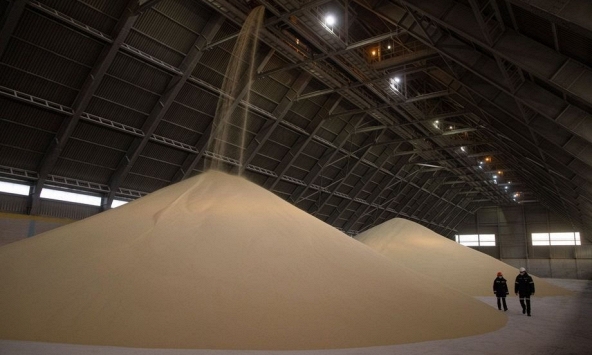 Nga dừng xuất khẩu phân bón