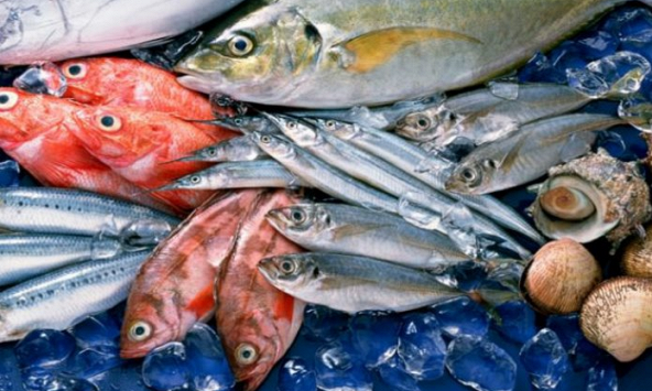 Xuất khẩu thủy sản tăng mạnh