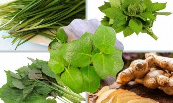 9 bài thuốc từ thiên nhiên có tác dụng tiêu đàm hiệu quả