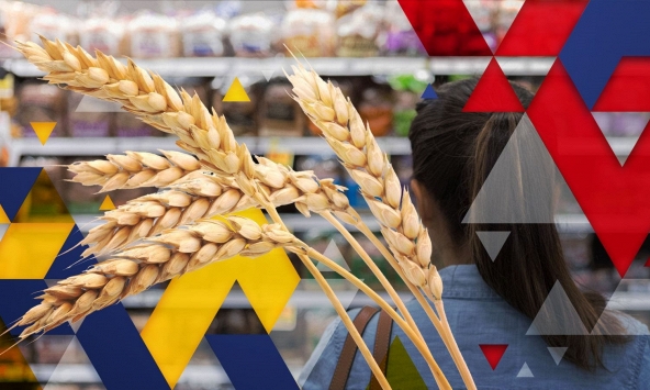 Chúng ta đang trên bờ vực của một cuộc khủng hoảng an ninh lương thực toàn cầu?