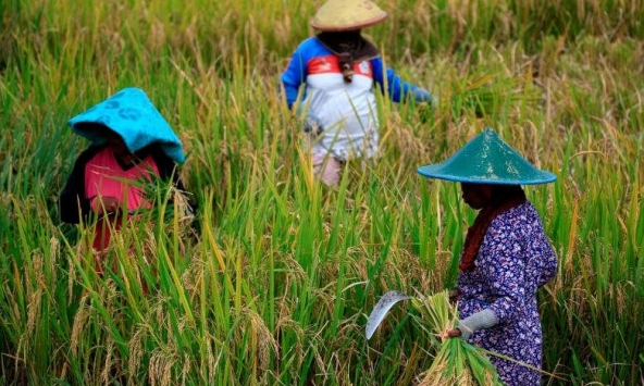 Đại dịch COVID-19 đã đẩy 4,7 triệu người dân Đông Nam Á rơi vào cảnh nghèo