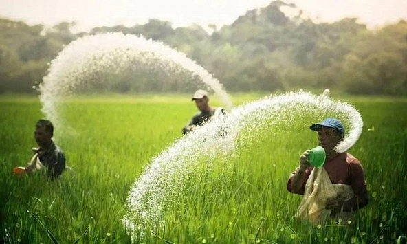 Cuộc chiến ở Ukraina khiến giá phân bón tăng cao, đe dọa ngành nông nghiệp toàn cầu