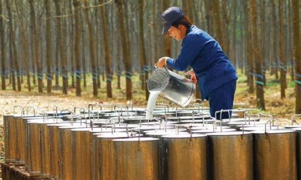 Cổ phiếu khuyến nghị phiên 25/3: PHR, BMP, BAF