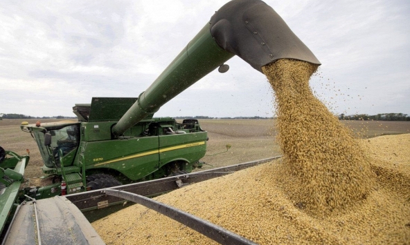 Xung đột Nga-Ukraina đẩy thế giới đến bờ vực khủng hoảng lương thực