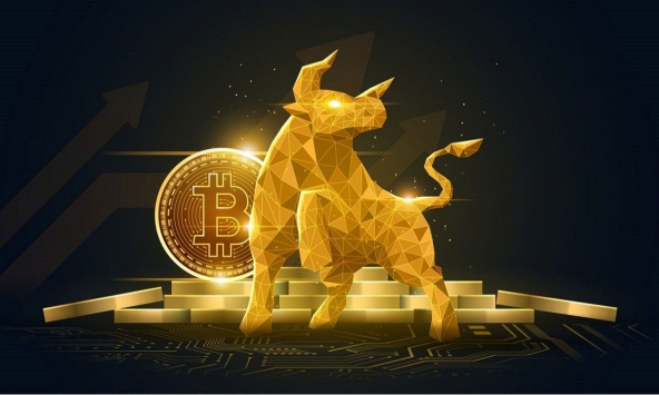Bitcoin đạt cột mốc lịch sử và xu hướng tăng giá đang diễn ra?