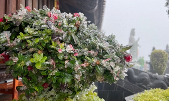 Fansipan xuất hiện băng giá đầu tháng 4