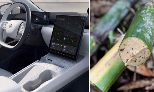 Sản phẩm từ mây của Indonesia chuyển hướng từ đồ nội thất sang ô tô điện