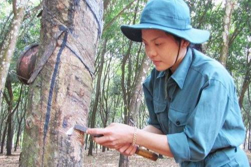 Cổ phiếu khuyến nghị phiên 6/4: DPR, ELC, MSB, VND, IPA