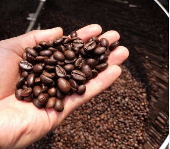 Xuất khẩu cà phê quý I/2022 tăng mạnh về giá trị