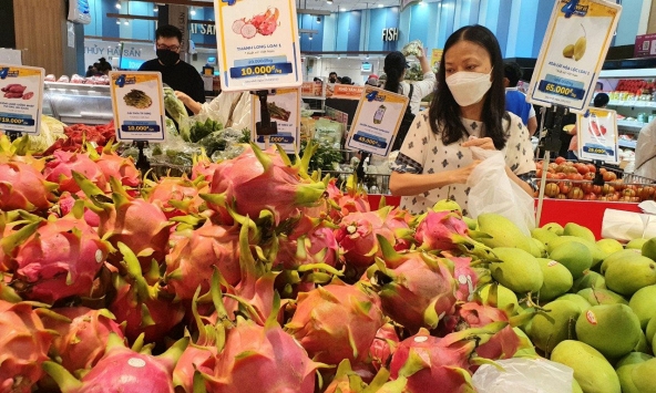 Giá thanh long tăng trở lại sau thời gian giảm giá mạnh do dịch bệnh