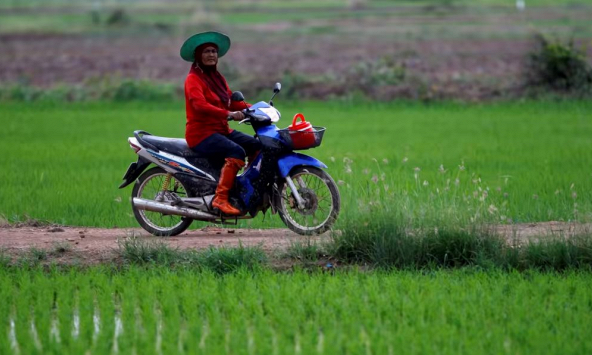 Xuất khẩu gạo của Thái Lan hưởng lợi từ chiến tranh Ukraina