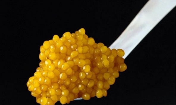 Top 10 món ăn xa xỉ nhất thế giới dành cho giới thượng lưu