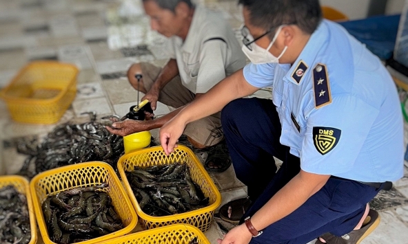 Bắt quả tang cơ sở bơm tạp chất vào tôm