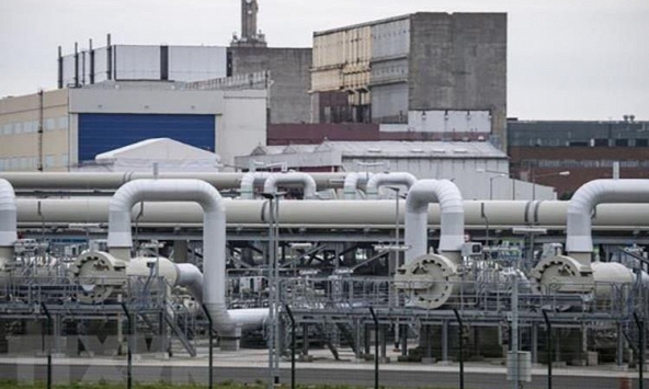 Giá gas hôm nay 29/4: Giảm nhẹ