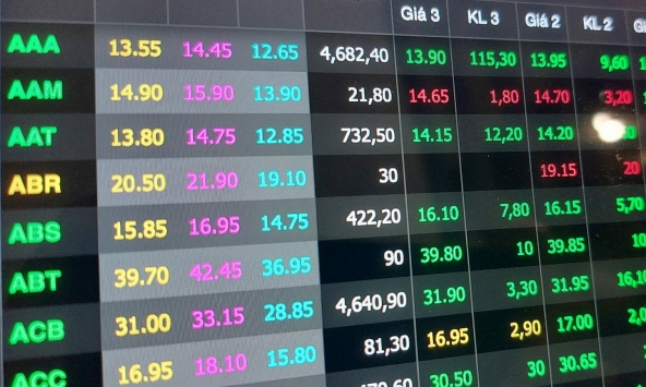 Cổ phiếu khuyến nghị 4/5: EVE, PC1, BMP, FPT