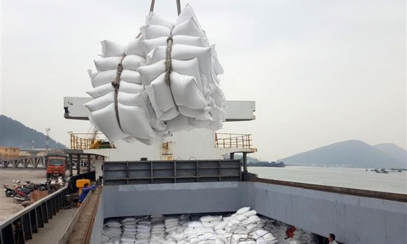 Doanh nghiệp cần lưu ý gì khi xuất khẩu gạo sang thị trường ASEAN