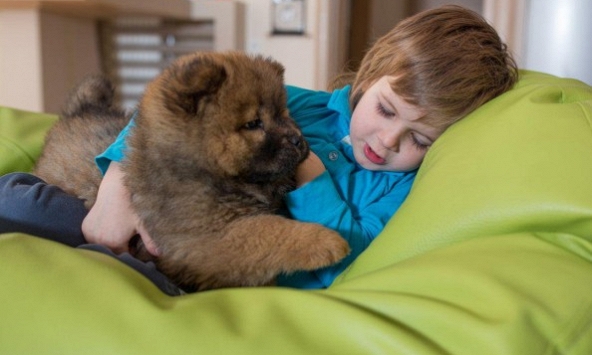 Bộ Y tế đề nghị theo dõi chặt chẽ bệnh viêm gan cấp tính 'bí ẩn' ở trẻ em