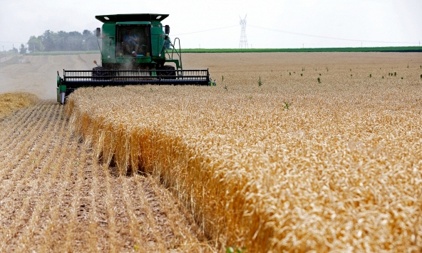 Giá lương thực thế giới tăng cao nhất từ trước tới nay