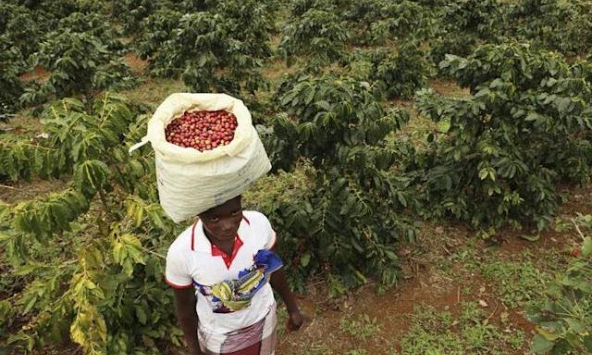 Các nền kinh tế trên thế giới ảnh hưởng thế nào sau khi Fed tăng lãi suất?