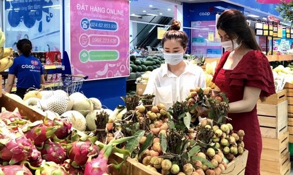 Vải thiều đầu mùa có giá 70.000 – 130.000 đồng/kg