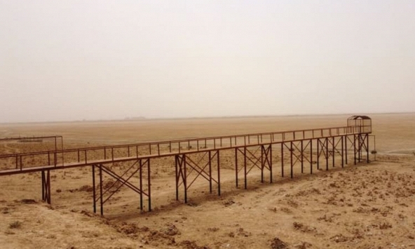 Thế giới có thể thấy ấm lên 1,5 độ C trong 5 năm tới