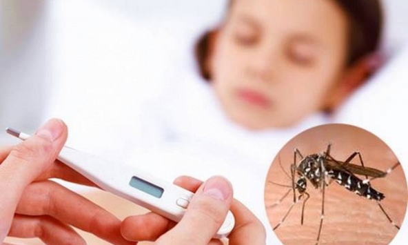 Cách nhận biết bệnh sốt xuất huyết ở trẻ em 