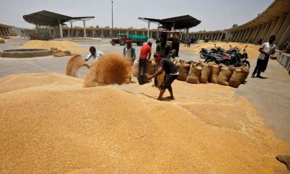 Các nhà nhập khẩu lúa mì ở châu Á tìm nguồn cung sau lệnh cấm xuất khẩu của Ấn Độ