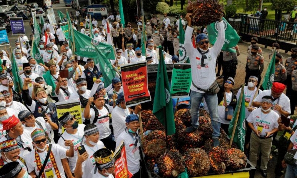 Nông dân Indonesia biểu tình phản đối lệnh cấm xuất khẩu dầu cọ

