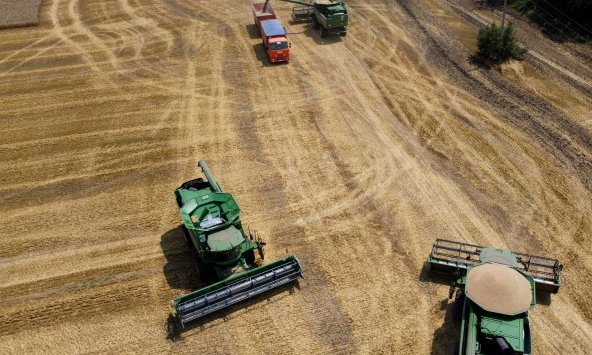 Kho dự trữ lúa mì của thế giới sẽ cạn trong 10 tuần tới