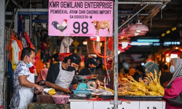 Malaysia ngừng xuất khẩu 3,6 triệu con gà mỗi tháng cho đến khi giá trong nước ổn định