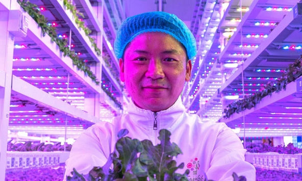 Gặp gỡ 'nông dân đô thị' Gordon Tam, người trồng rau bên trong các tòa nhà chọc trời của Hồng Kông