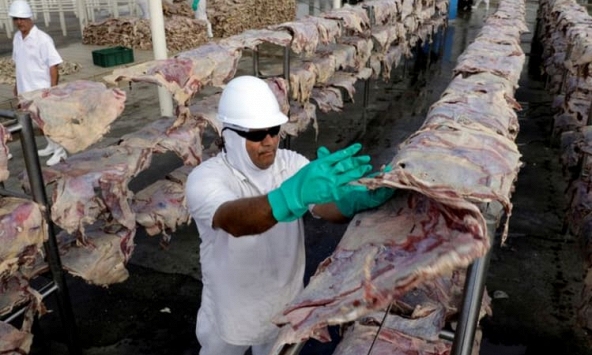 Trung Quốc tạm dừng nhập khẩu thịt bò của Brazil