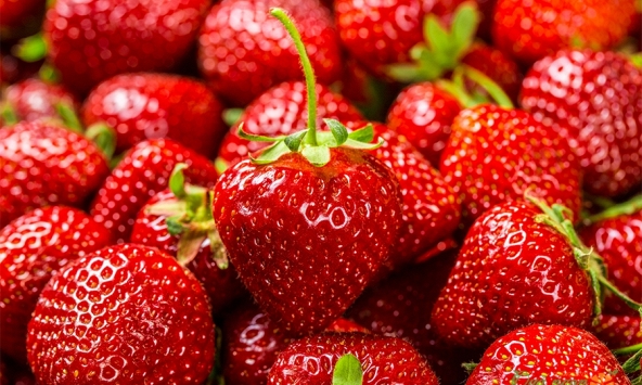 Dịch viêm gan A bùng phát liên quan đến dâu tây hữu cơ