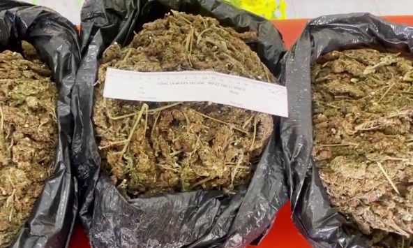 Phát hiện vụ vận chuyển 5kg thảo dược, nghi là cần sa khô tại An Giang