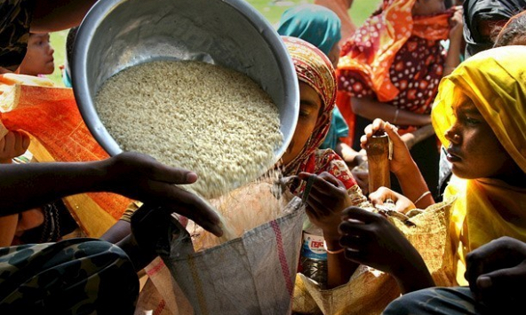 Giá lương thực toàn cầu có thể tiếp tục tăng do xuất hiện tình trạng đầu cơ