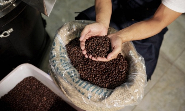 Tín hiệu tốt cho giá cà phê