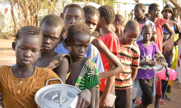 Giải pháp nào cho cuộc khủng hoảng lương thực?