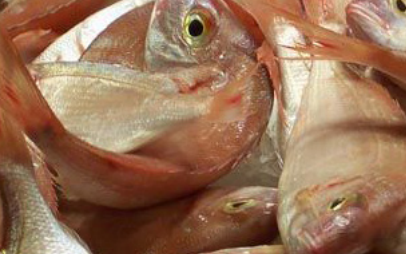 Xuất khẩu thủy sản tăng mạnh trong tháng 5