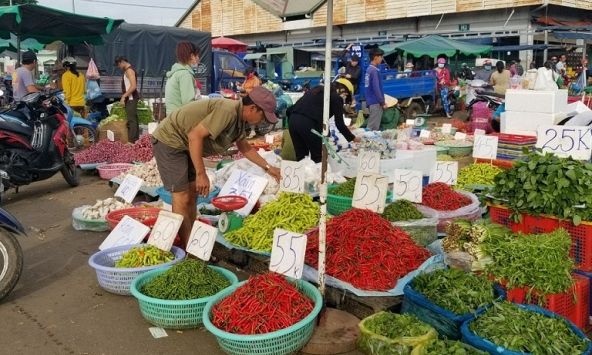 Giá ớt tăng cao, dao động từ 45.000 - 50.000 đồng/kg