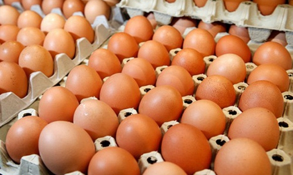 Giá trứng bình ổn có thể được điều chỉnh tăng