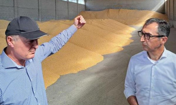 Đức không tin Nga mở hành lang trên Biển Đen để Ukraina xuất khẩu ngũ cốc