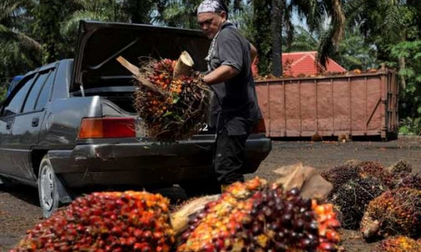Các công ty Malaysia đau đầu vì tình trạng thiếu lao động nhập cư