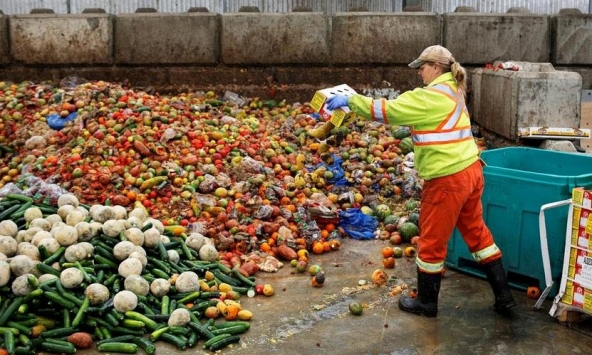 Bất chấp nạn đói, thế giới vẫn lãng phí gần 1 tỷ tấn thực phẩm mỗi năm

