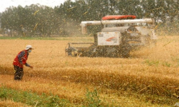 Lạm phát gia tăng mang lại rủi ro cho giá hàng hóa