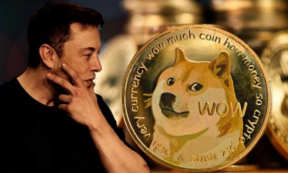 Nhà đầu tư Dogecoin kiện Elon Musk và Tesla, đòi bồi thường 258 tỷ USD