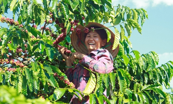 Nông sản cuối tuần ảm đạm