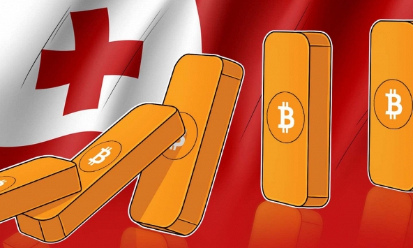 Solend cố gắng chiếm quyền một tài khoản ‘cá voi’, nhà đầu tư lo sợ 'hiệu ứng domino'