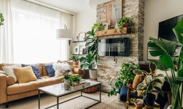 Sự khác biệt giữa ánh sáng mặt trời trực tiếp và gián tiếp cho người mê trồng cây trong nhà