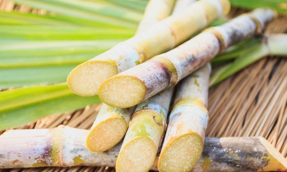 Philippines cảnh báo về tình trạng thiếu đường ngày càng trầm trọng